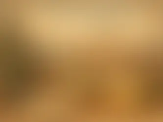 Carta vini ricercata a Modena: cosa conta