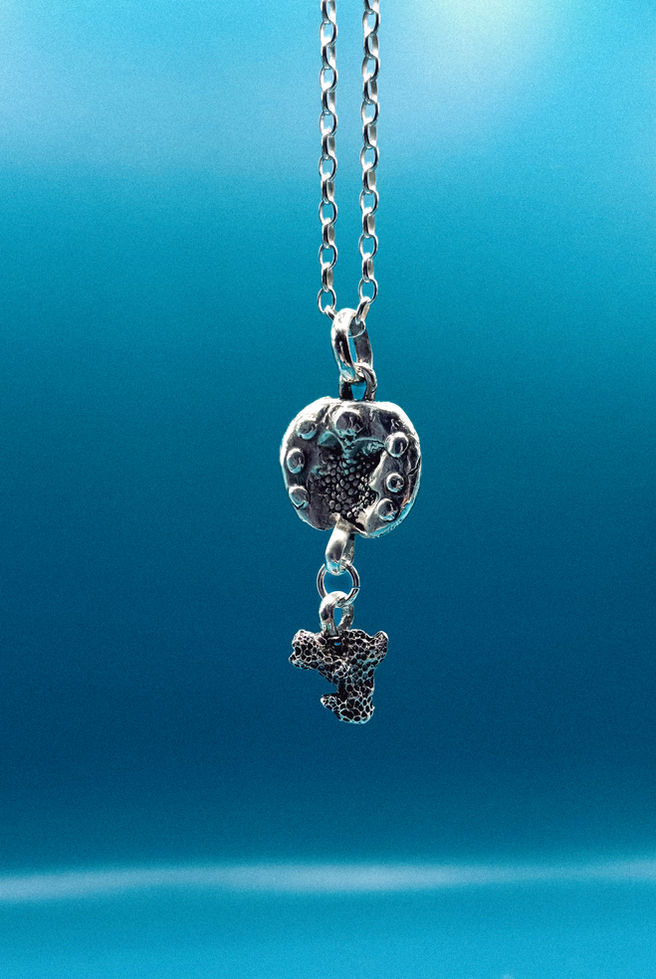 Silver necklace with two pendants