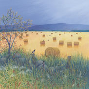 Mountains, field, magpies, field's edge