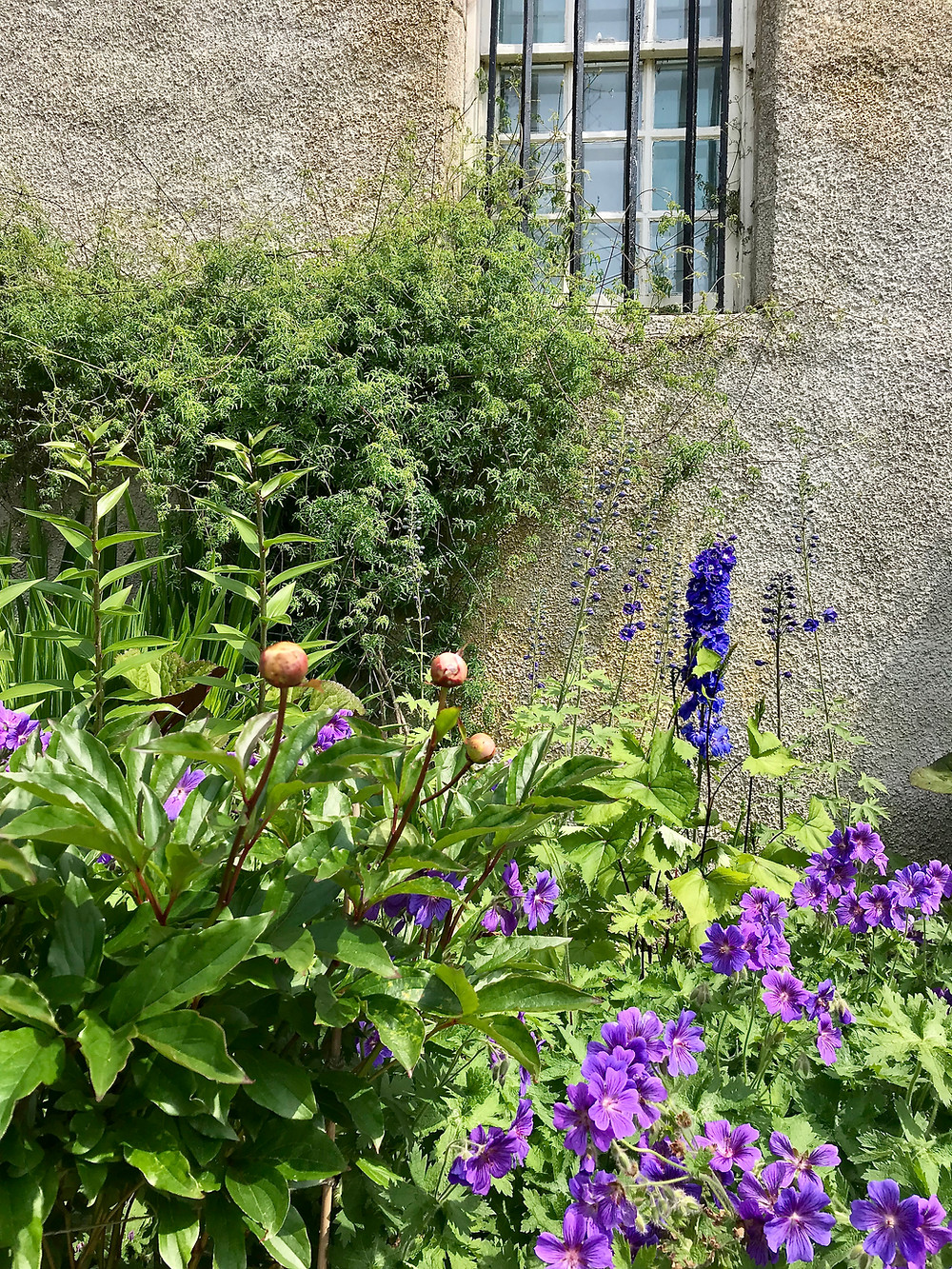 Country Garden