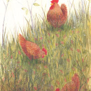 hens garden