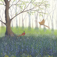 pheasants woodland