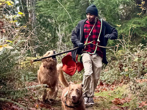 Where Can I Hike with My Dog Off Leash in Seattle