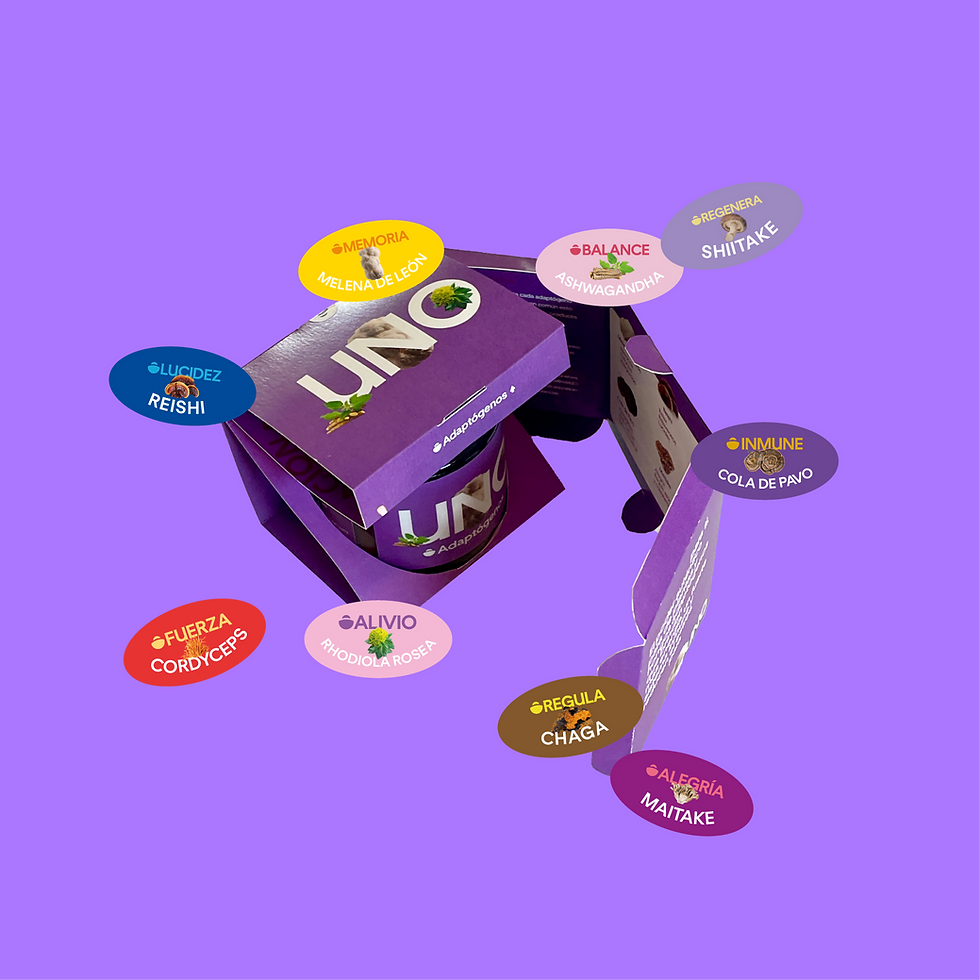 Thumbnail: UNO