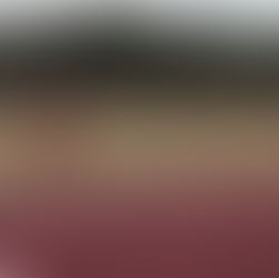 BMC Gold Standard Races