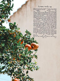 E5D5FDDA-0042-43DF-BA53-377D8FD99B4D.jpeg