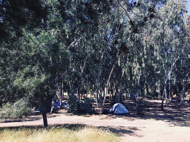 camp pardes chana camp pardes chana