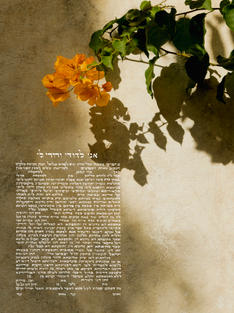 Bougainvillaea Ketubah, Beige Minimalist Background, Hand scribed Hebrew Calligraphy with stunning contemporary photography. Traditional, interfaith queer text available. Jewish Art by Female Scribe. Ani L'dodi V'Dodi Li.