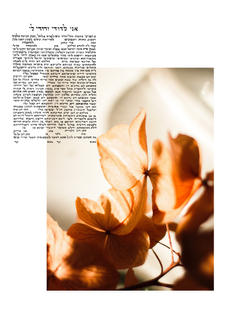 Modern Contemporary flower Ketubah, Hand scribed Hebrew Calligraphy with stunning contemporary photography. Traditional, interfaith queer text available. Jewish Art by Female Scribe. Ani L'dodi V'Dodi Li.