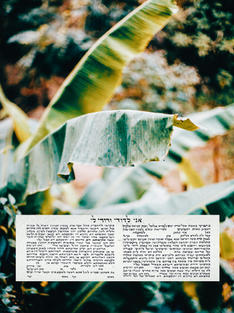 1DF3571E-7931-4F6B-8B29-1F7EB329B434.jpeg