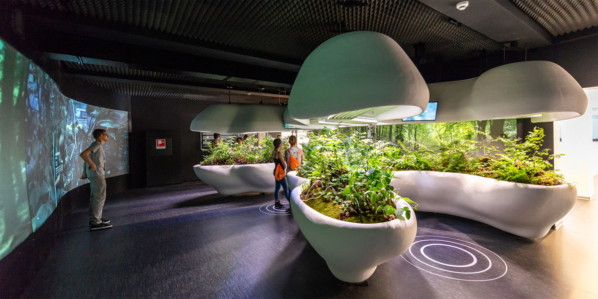 DSC8012 post web.jpg