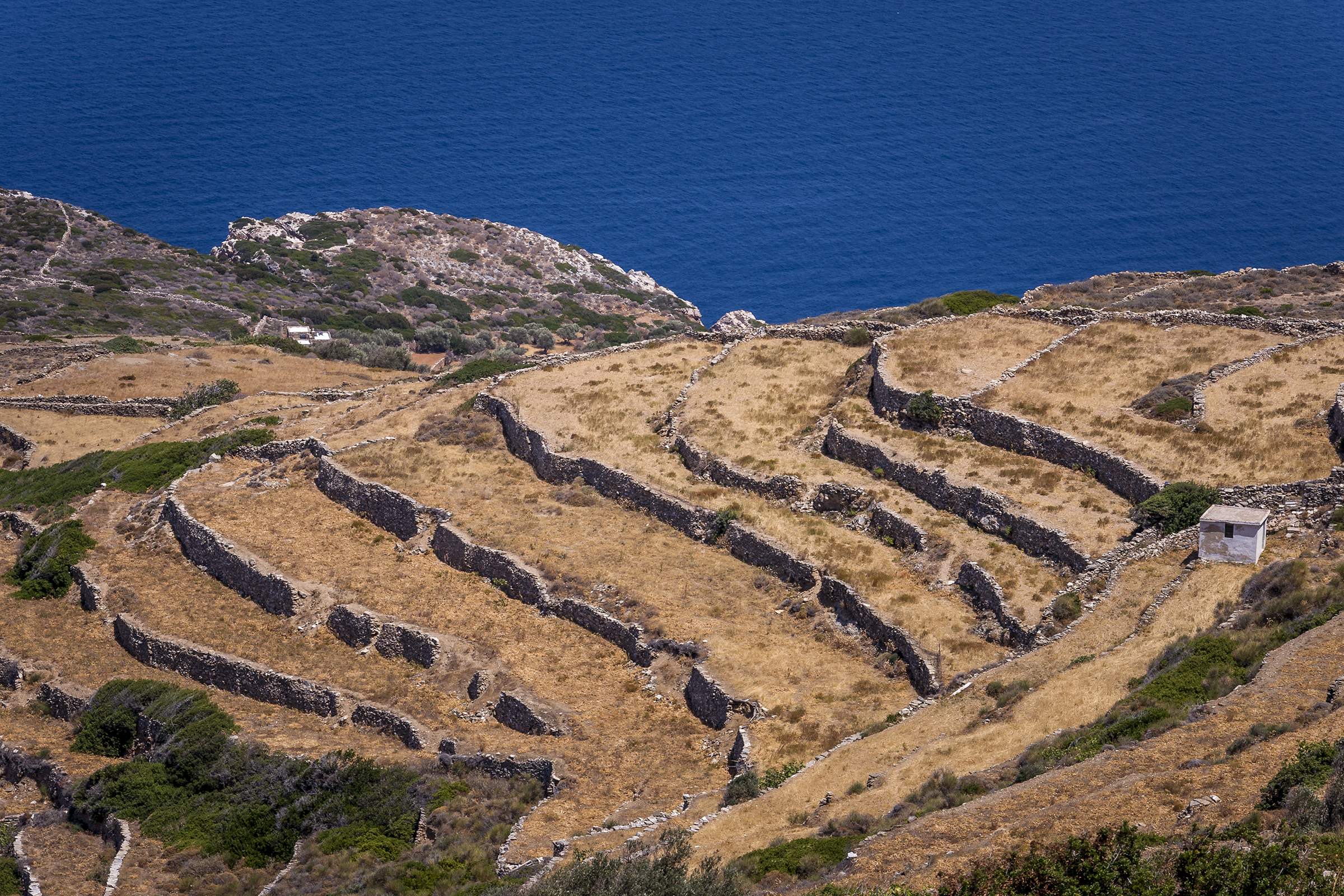 Sifnos #1