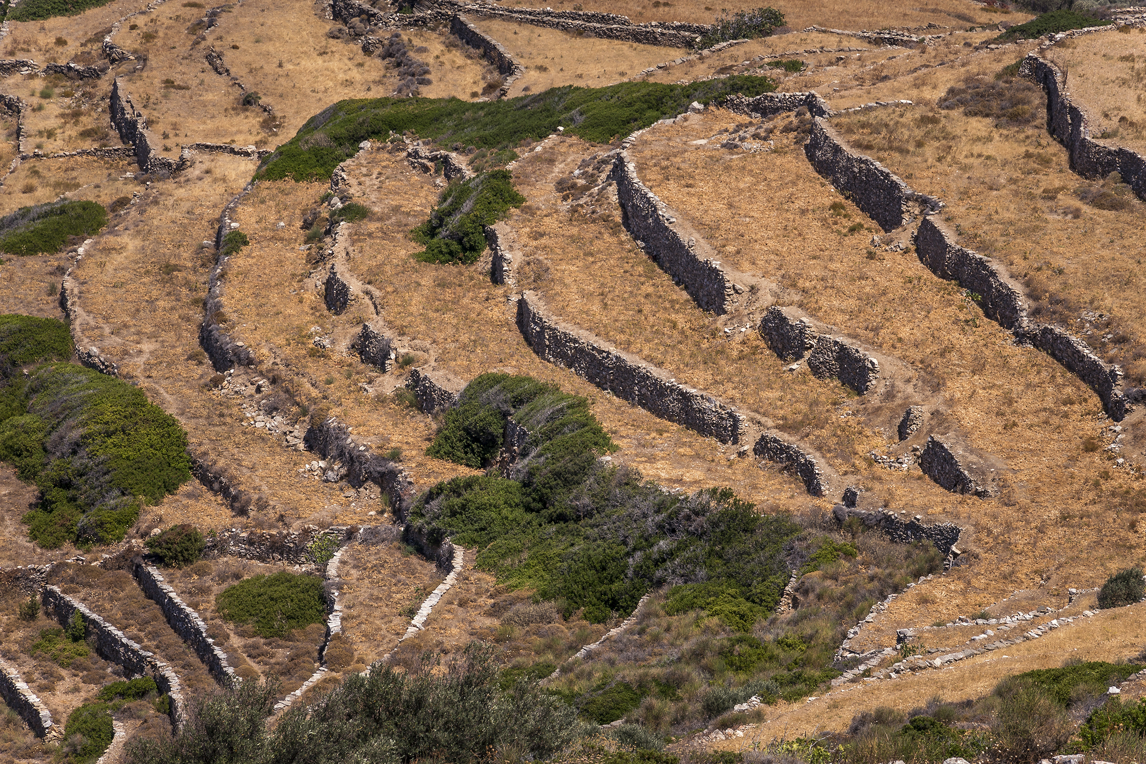 Sifnos #4