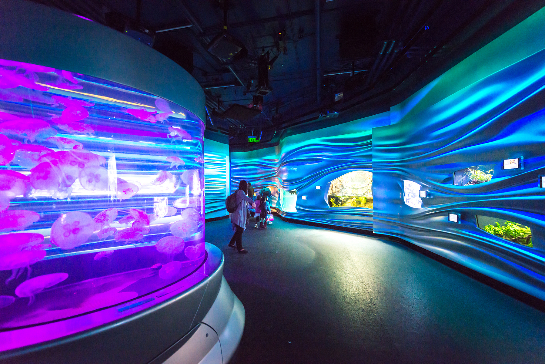 California Academy of Sciences