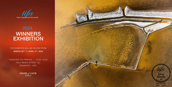 TIFA winners exhibition in Budapest