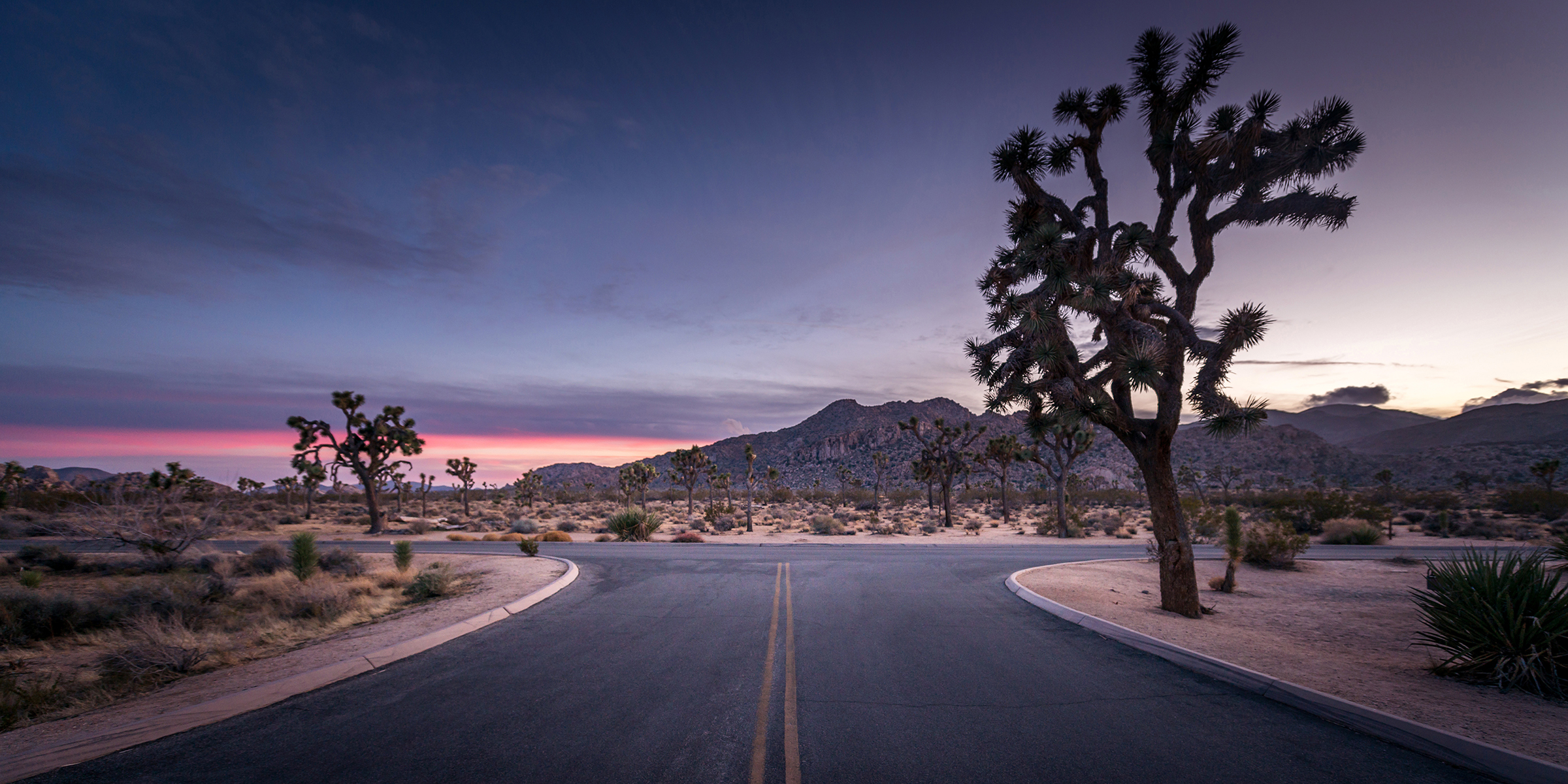 Joshua Tree Park, California
