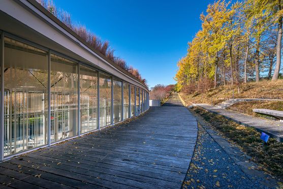 Photo shoot of the day - Brooklyn Botanic Gardens Visitor Center New York