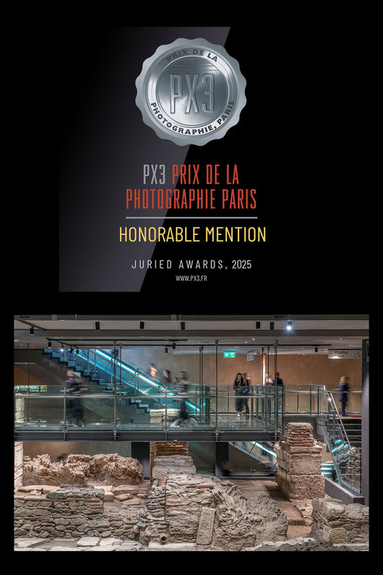 Honorable Mention at the PX3 2025 competition