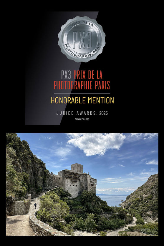 Honorable Mention at the PX3 2025 competition