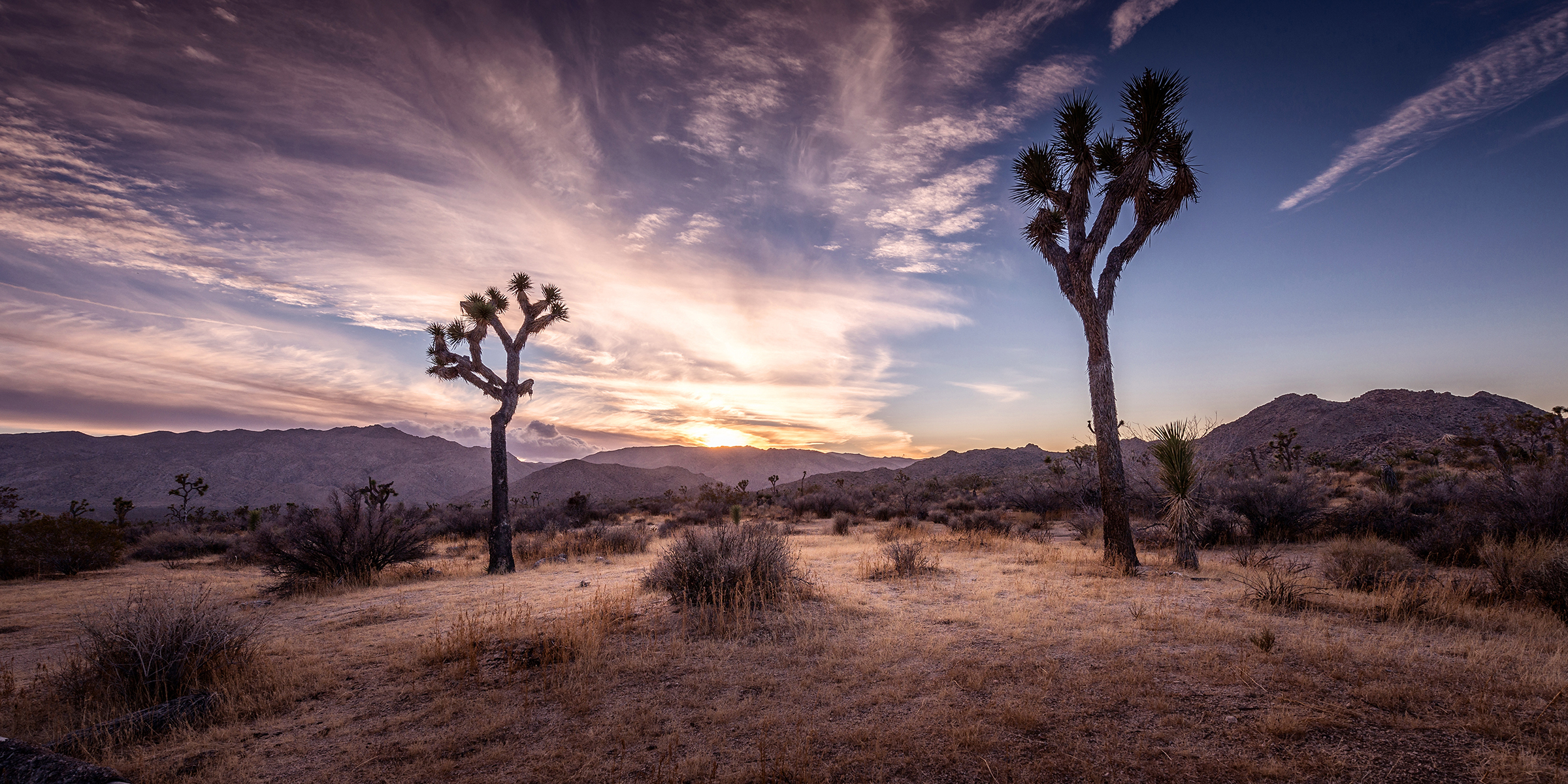 Joshua Tree Park, California