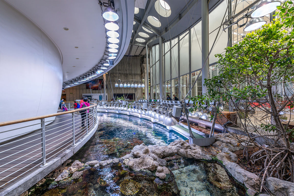 800_6602 post web.jpg