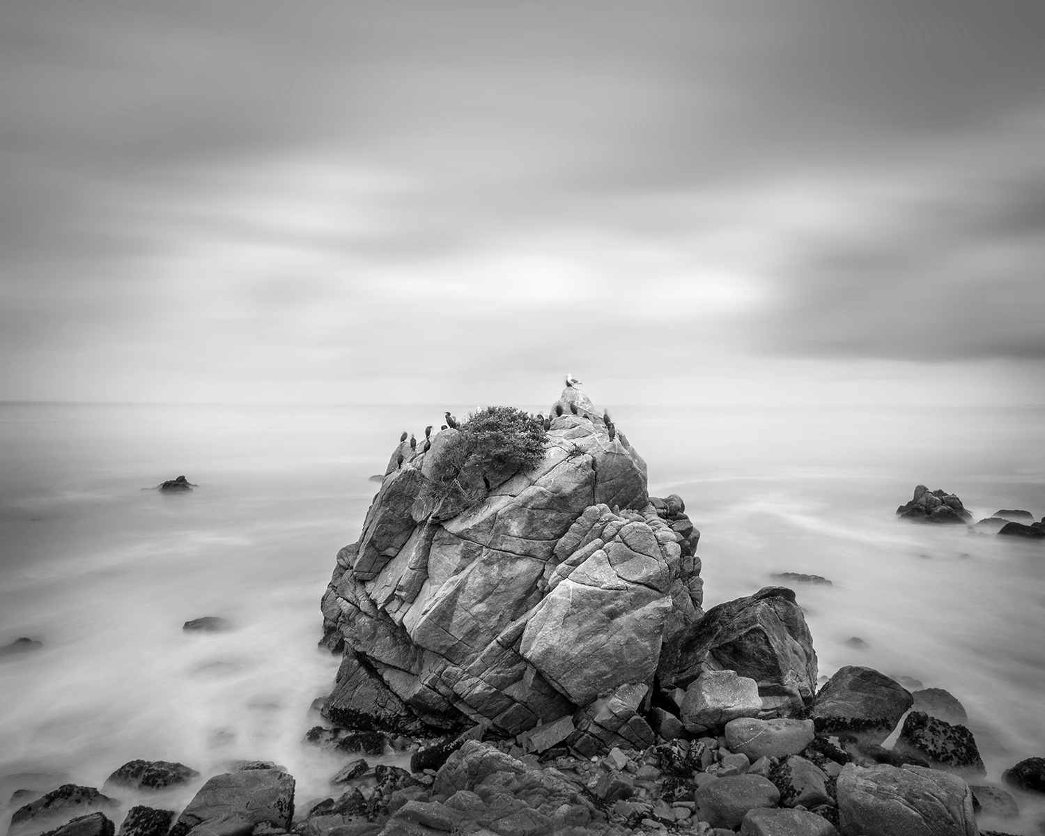 Pacific Grove #3, California, 2016