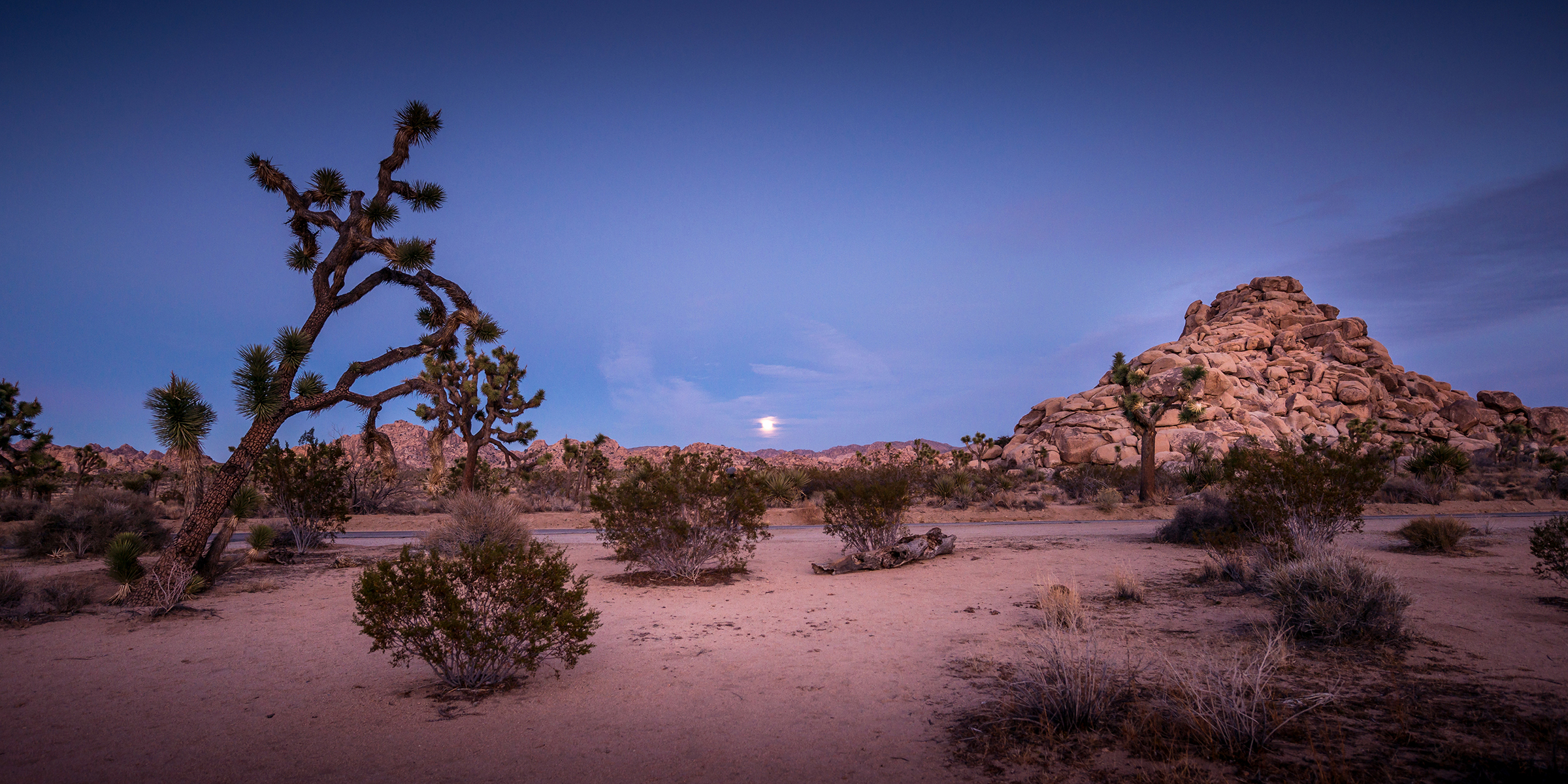 Joshua Tree Park, California
