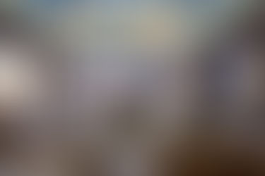 Preview image from photo shoot of the day