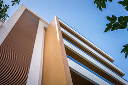 Metamorphoseos2_800_9920 post LR