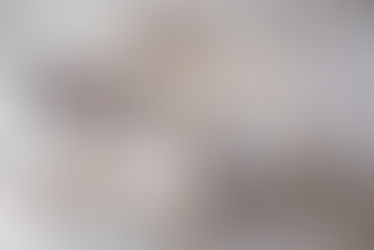 Two prints in Villa Porta Fortuna, Punta Mita Mexico