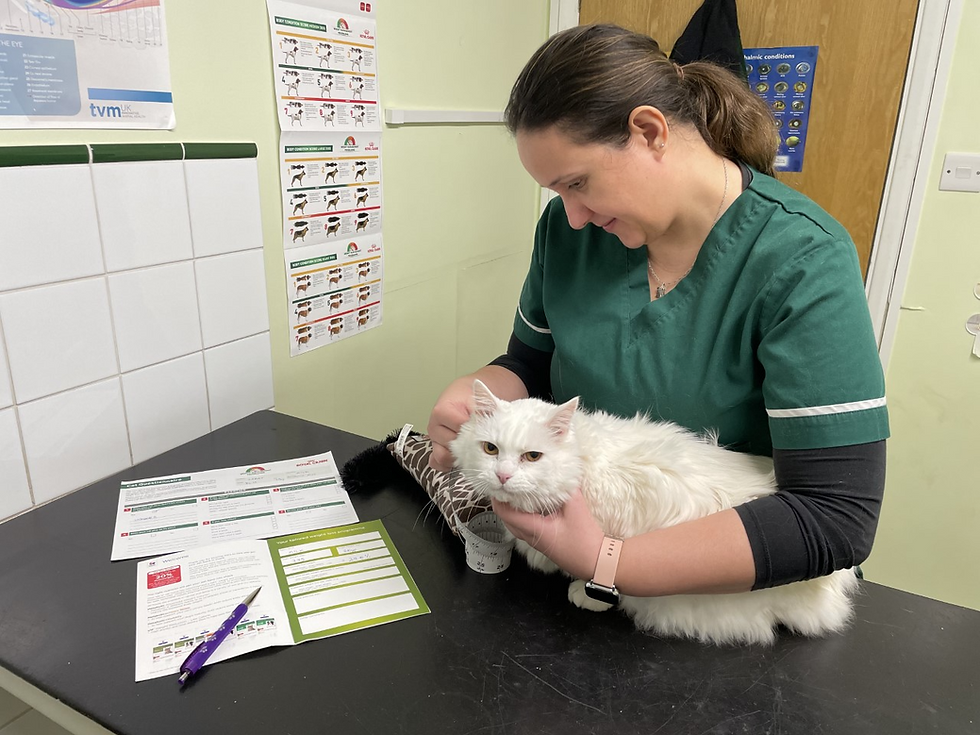 Now available Complimentary weight management clinics.