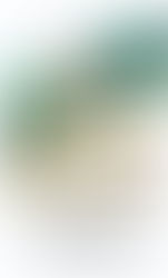 Feria de Emprendimientos para degustar los mejores productos agropecuarios