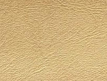 BL-124 Gold Metallic.jpg