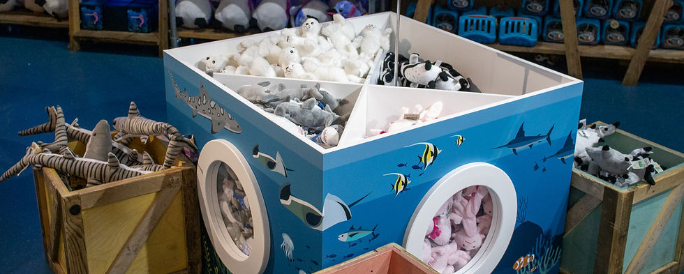 Four sections in the cube allow for separation of our small plush toy range.