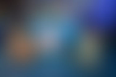 Case Study: Sealife Centre