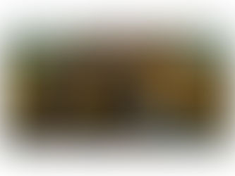 La pasión que nos une, todos bajo la misma tricolor.