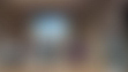 Panel Discussion: A Conversation about Biophilia & Design at Queens University.