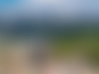 Las 10 colonias con mayor plusvalÃa en CDMX en 2025: ¿Dónde invertir para maximizar tu patrimonio?