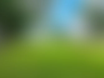 Cleveland Street Charm!