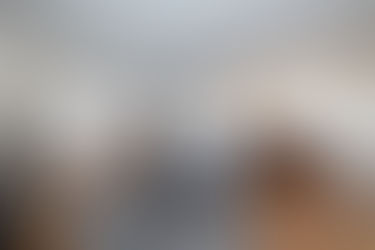 New Listing! Temple Terrace Townhome!