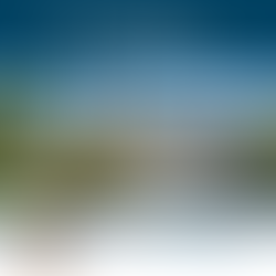 Under Contract: Tarpon Pool Home!