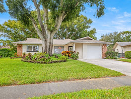 142 Stafford Cir, Palm Harbor, FL 34684, USA