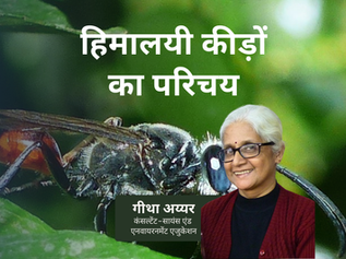 हिमालयी कीड़ों का परिचय | नेचर गाइड एंड नेचुरलिस्ट सीरीज़