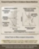 Solid White Background