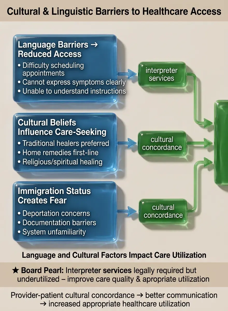 Solid White Background