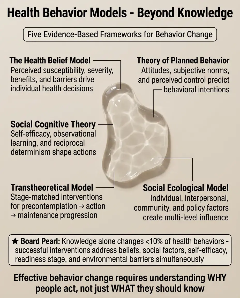 Solid White Background