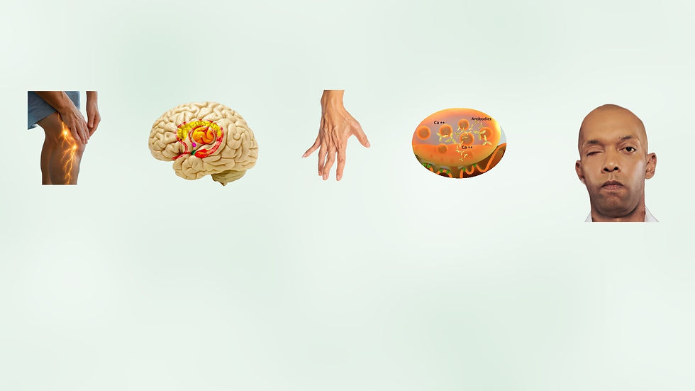 Untitled - 2024-11-26T234227.141-min.png