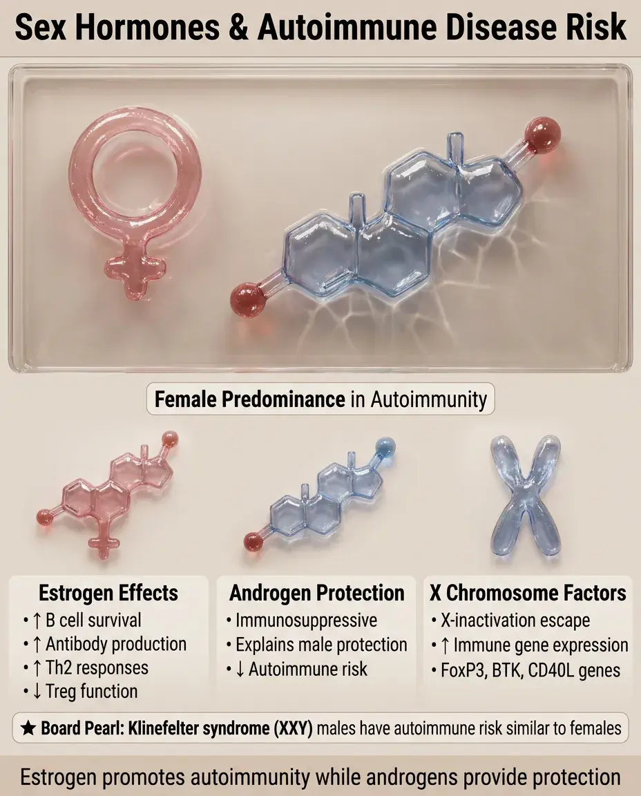 Solid White Background