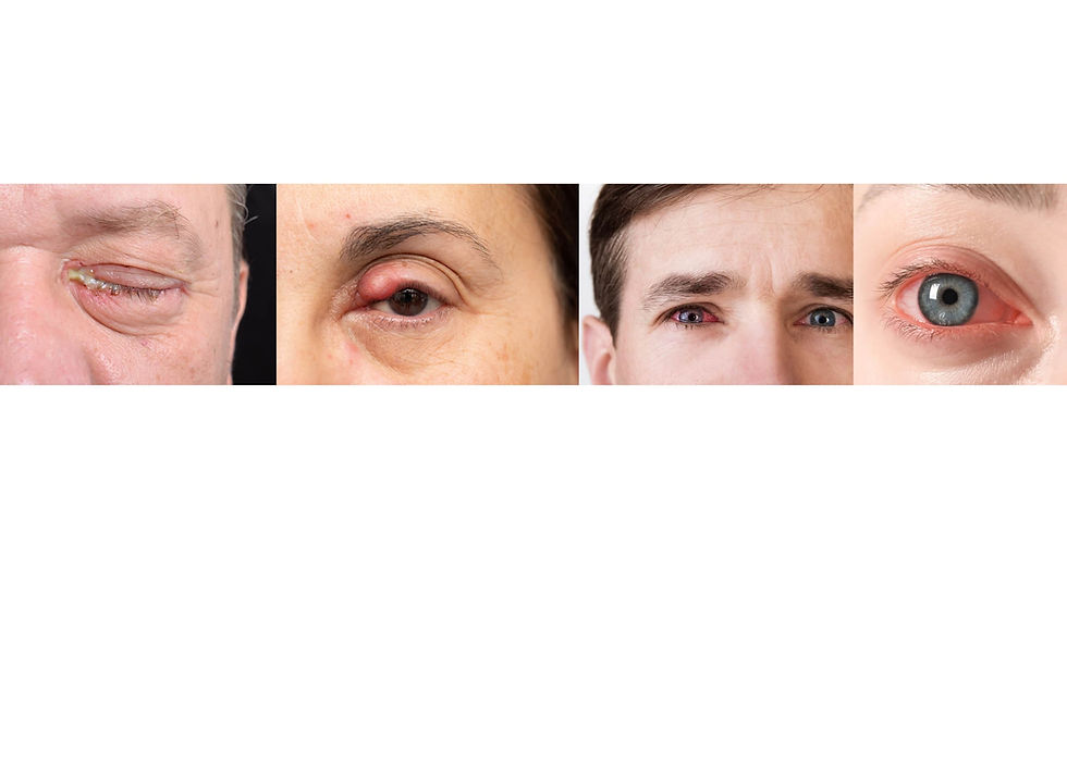 ChatGPT Image Oct 12, 2025 at 06_11_16 PM.jpg