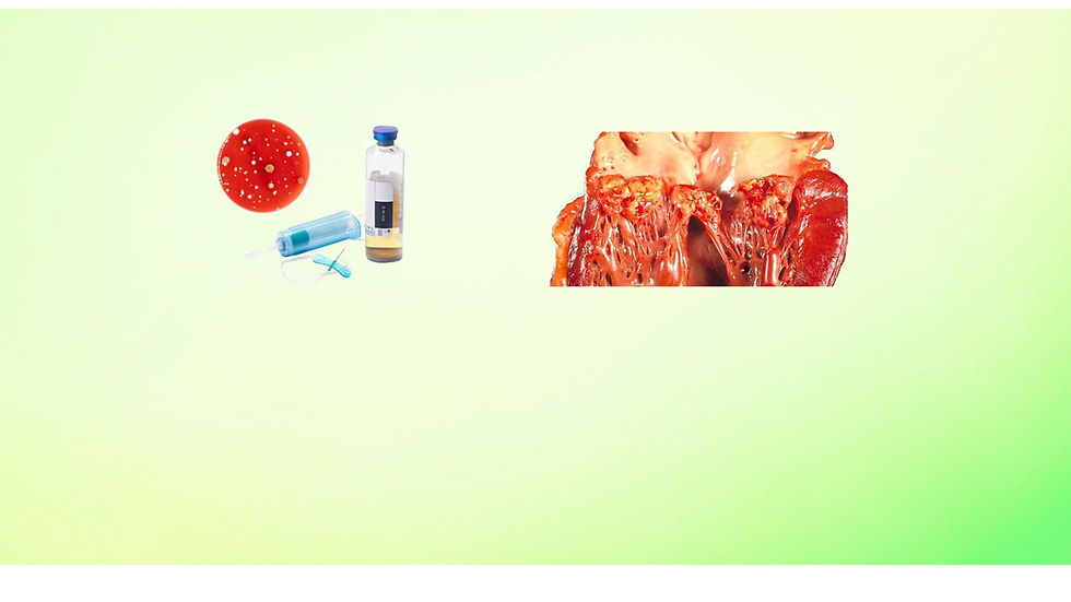 ChatGPT Image Oct 12, 2025 at 06_11_16 PM.jpg